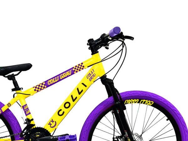 Bicicleta Colli Grau A26-Imagem 4